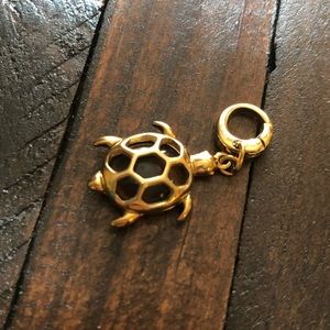 Fossil Charm - Tortoise